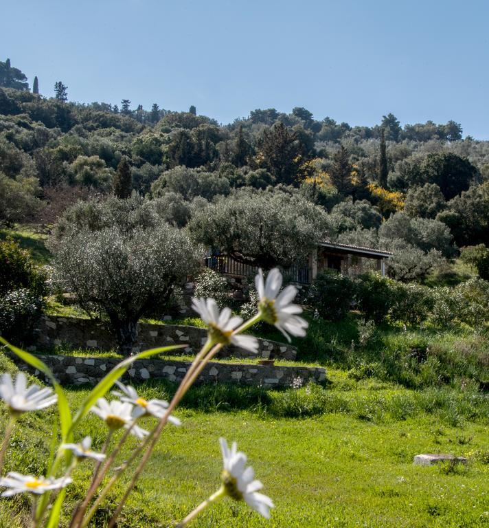 Villa Collina Василикос Экстерьер фото